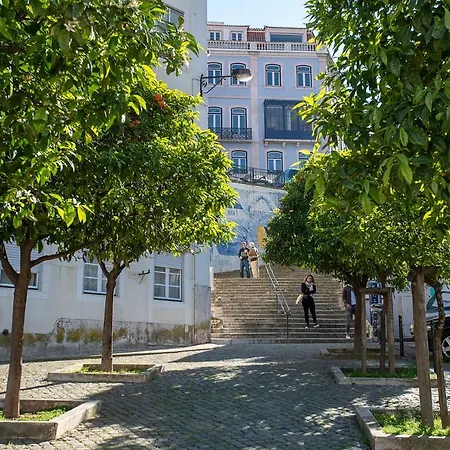 아파트 Myplace - - Principe Real 리스본